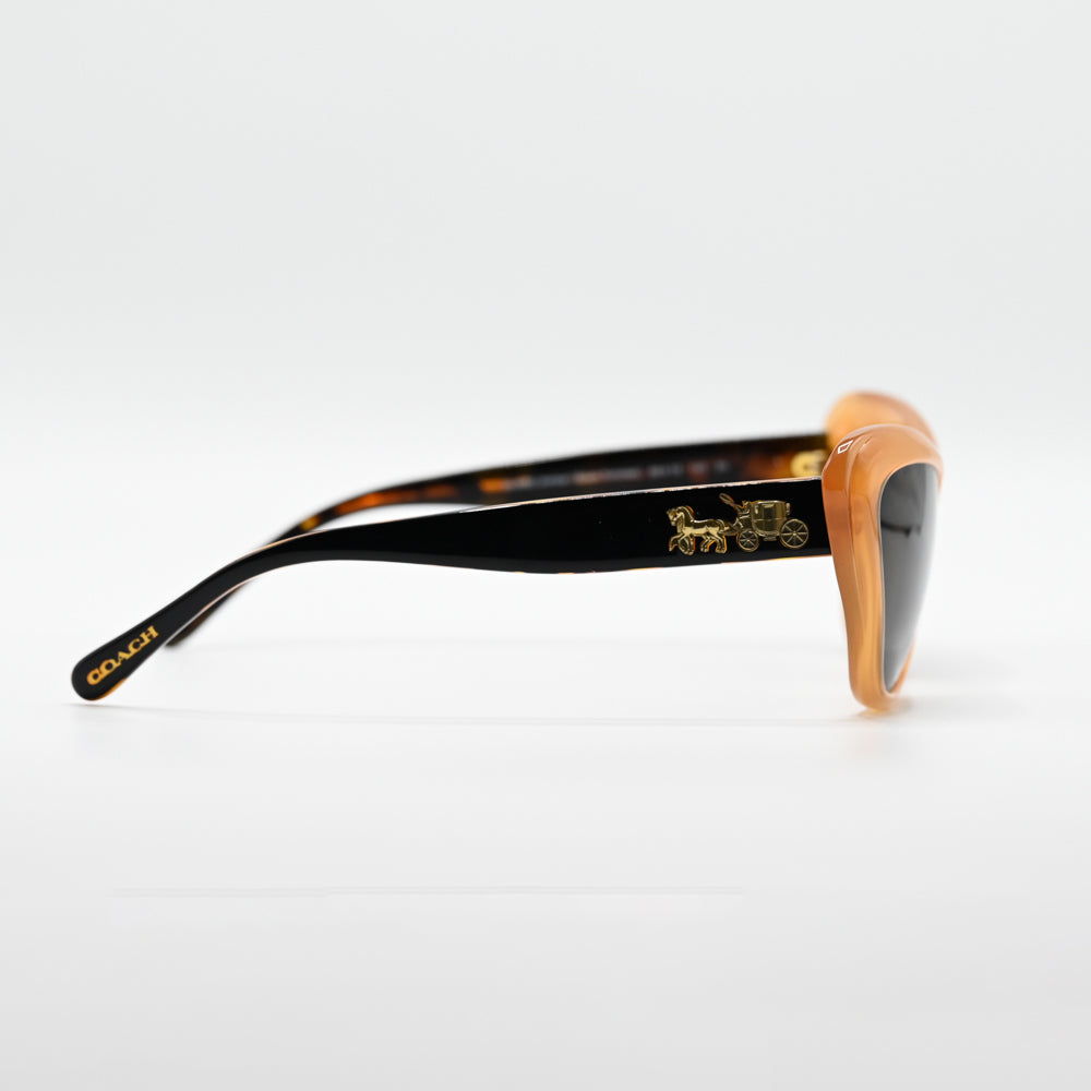 Coach HC8205 Square Sunglasses