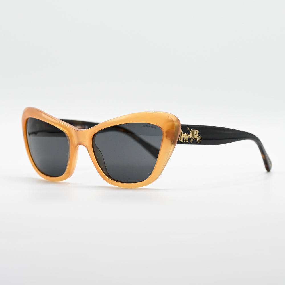 Coach HC8205 Square Sunglasses