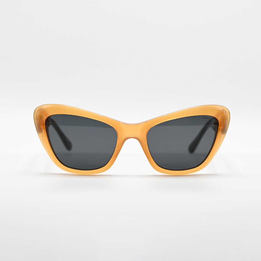 Coach HC8205 Square Sunglasses
