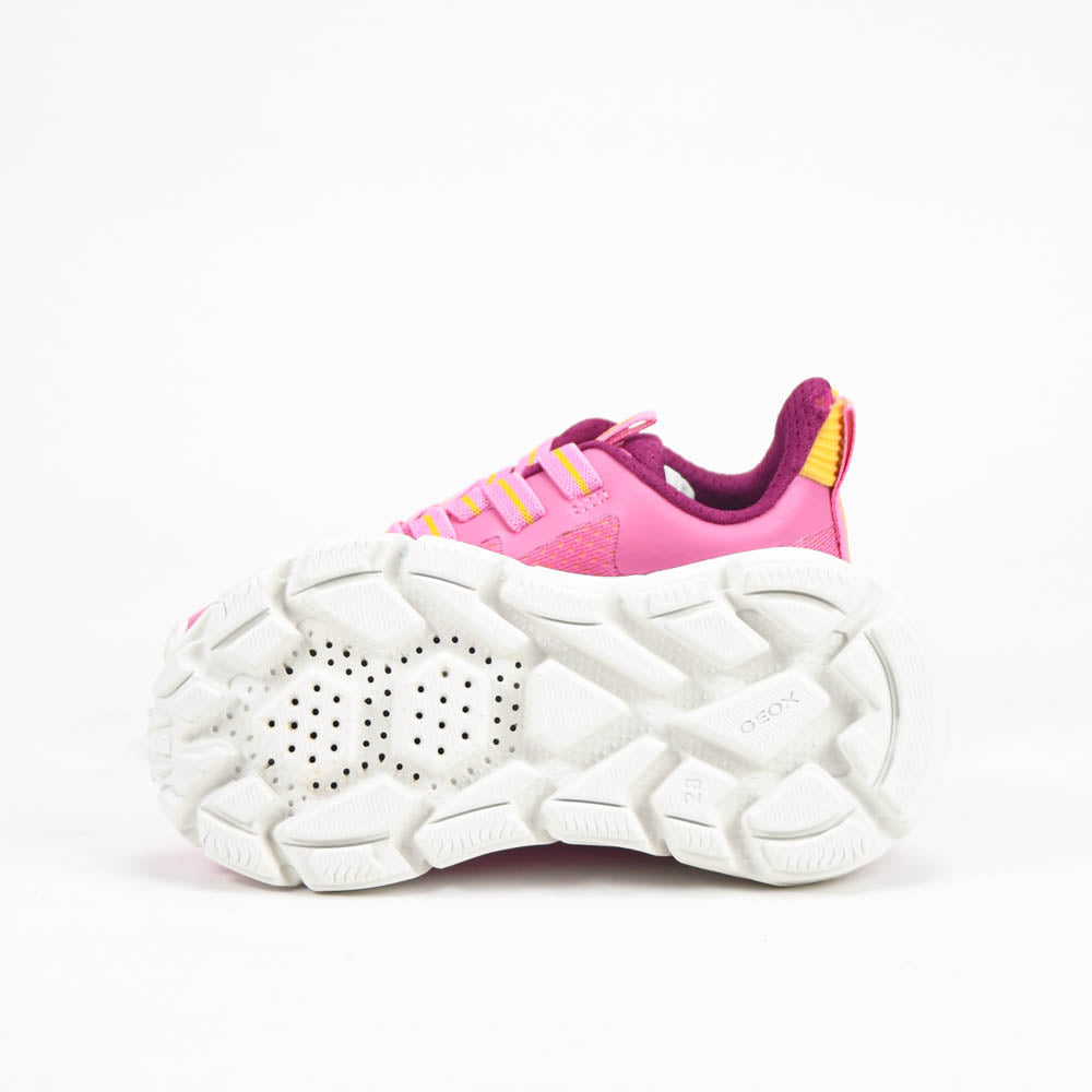GEOX BASKET