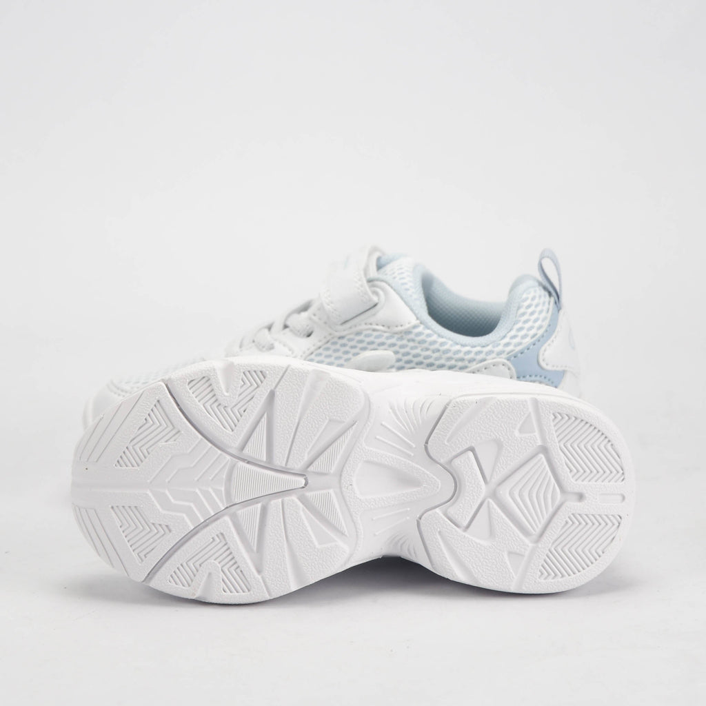 CHAMPION BASKET