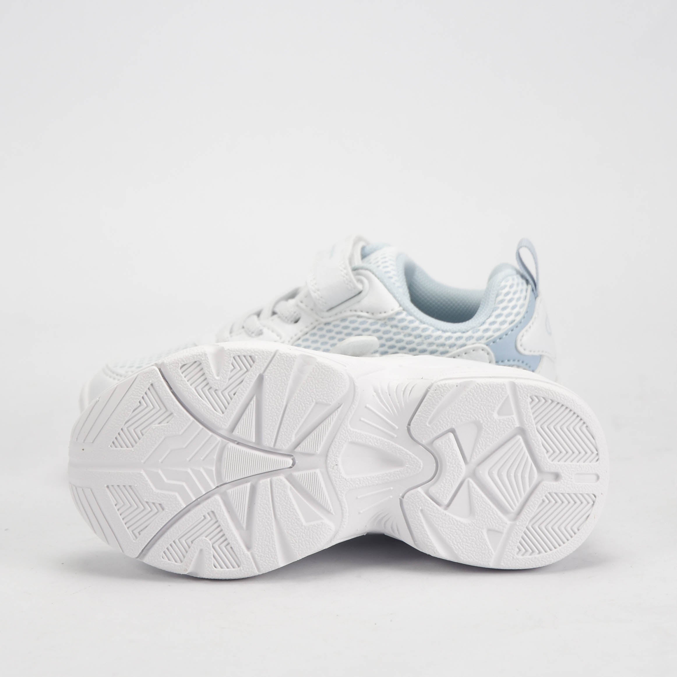 CHAMPION BASKET