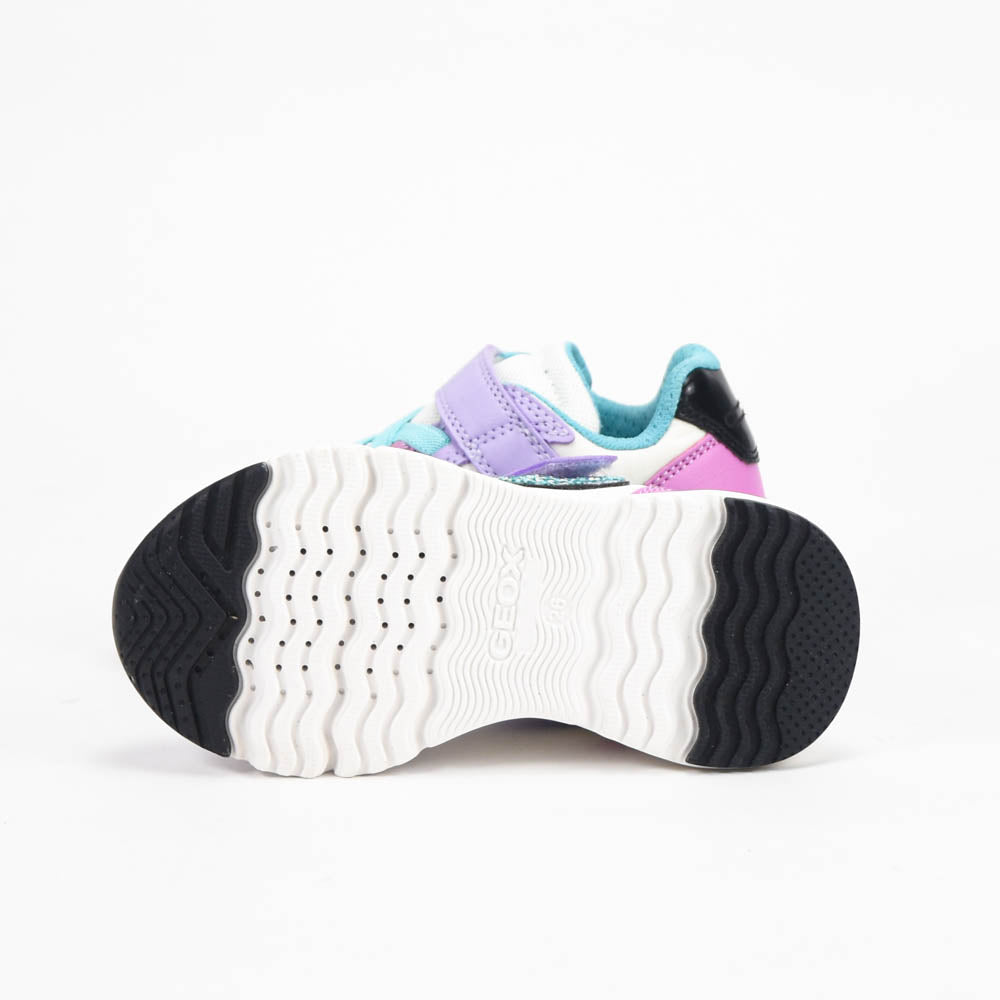 GEOX BASKET