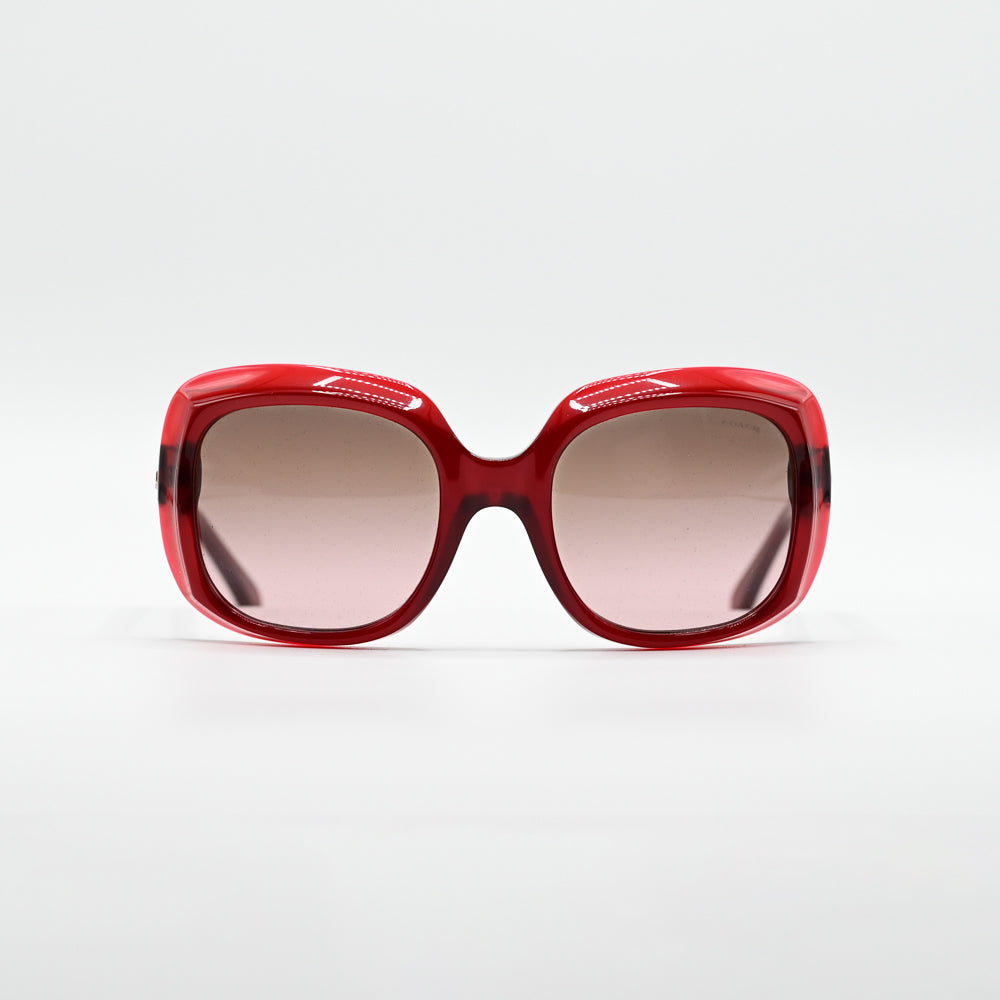 Coach HC8194 Square Sunglasses