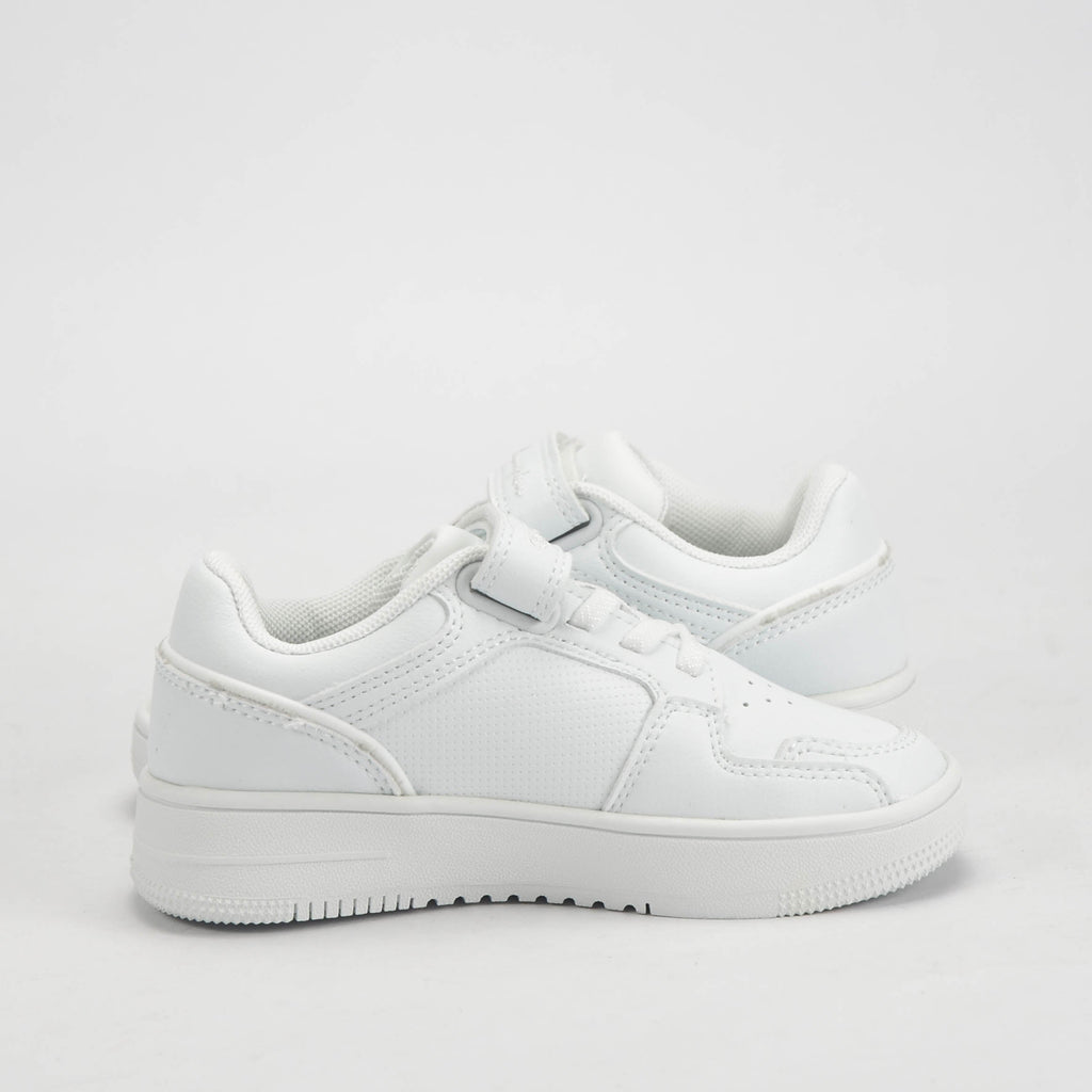 CHAMPION BASKET