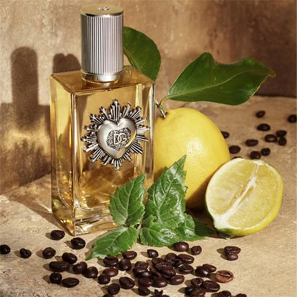 DOLCE GABBANA DEVOTION
