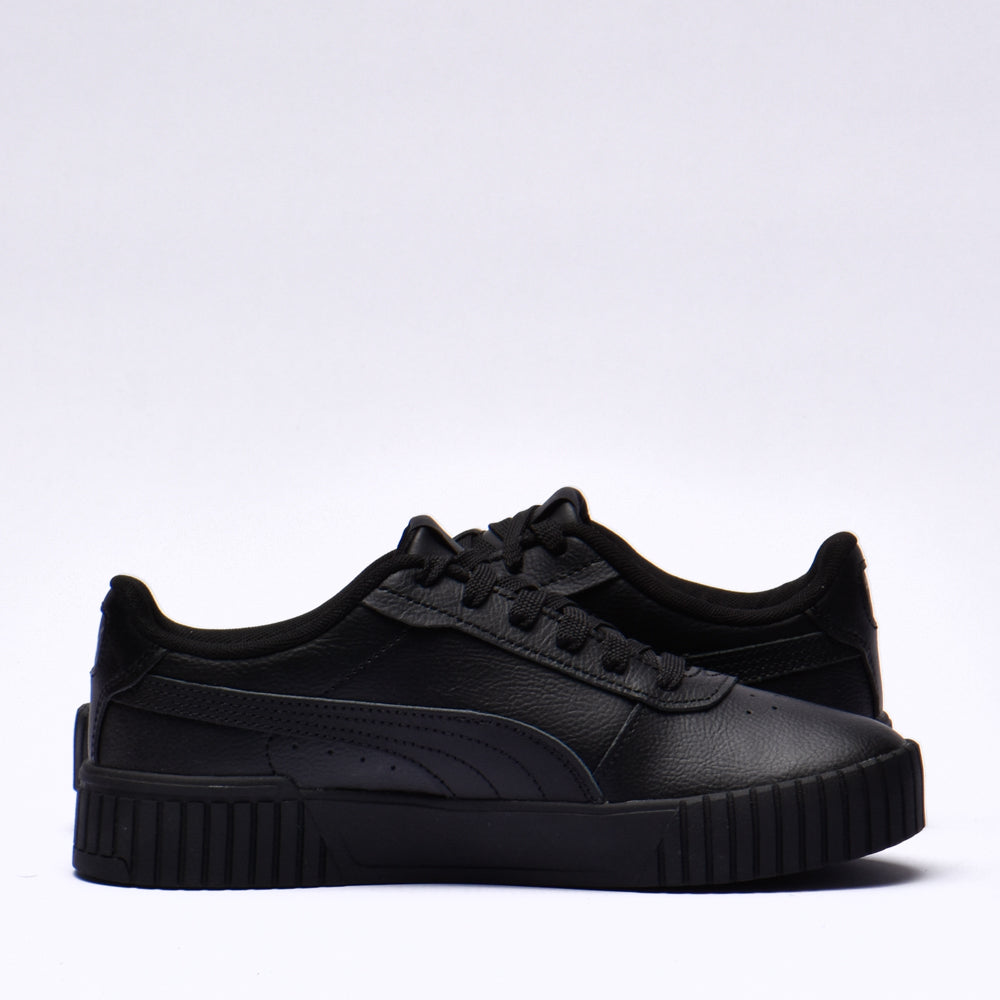 Puma carina 2.0