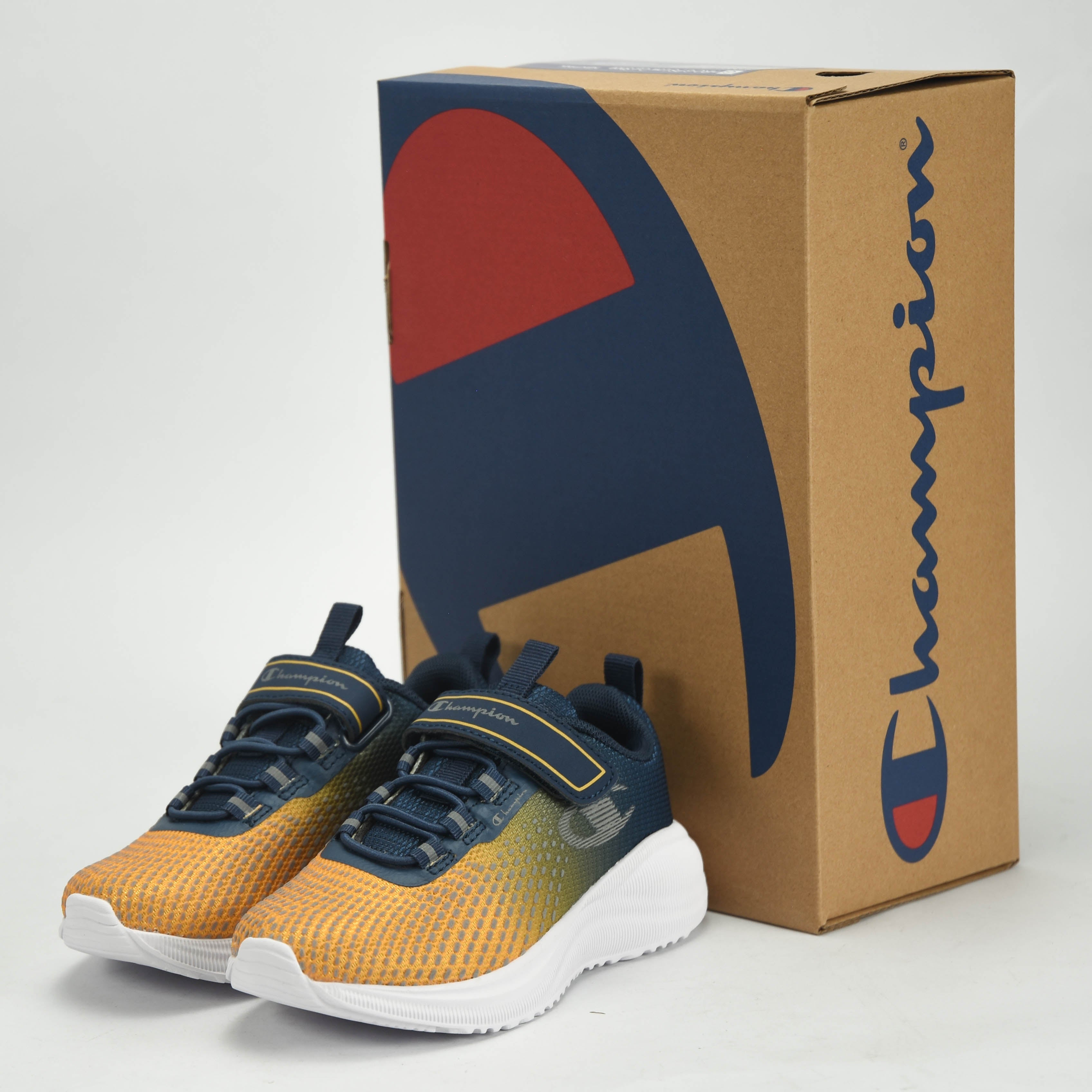 CHAMPION BASKET
