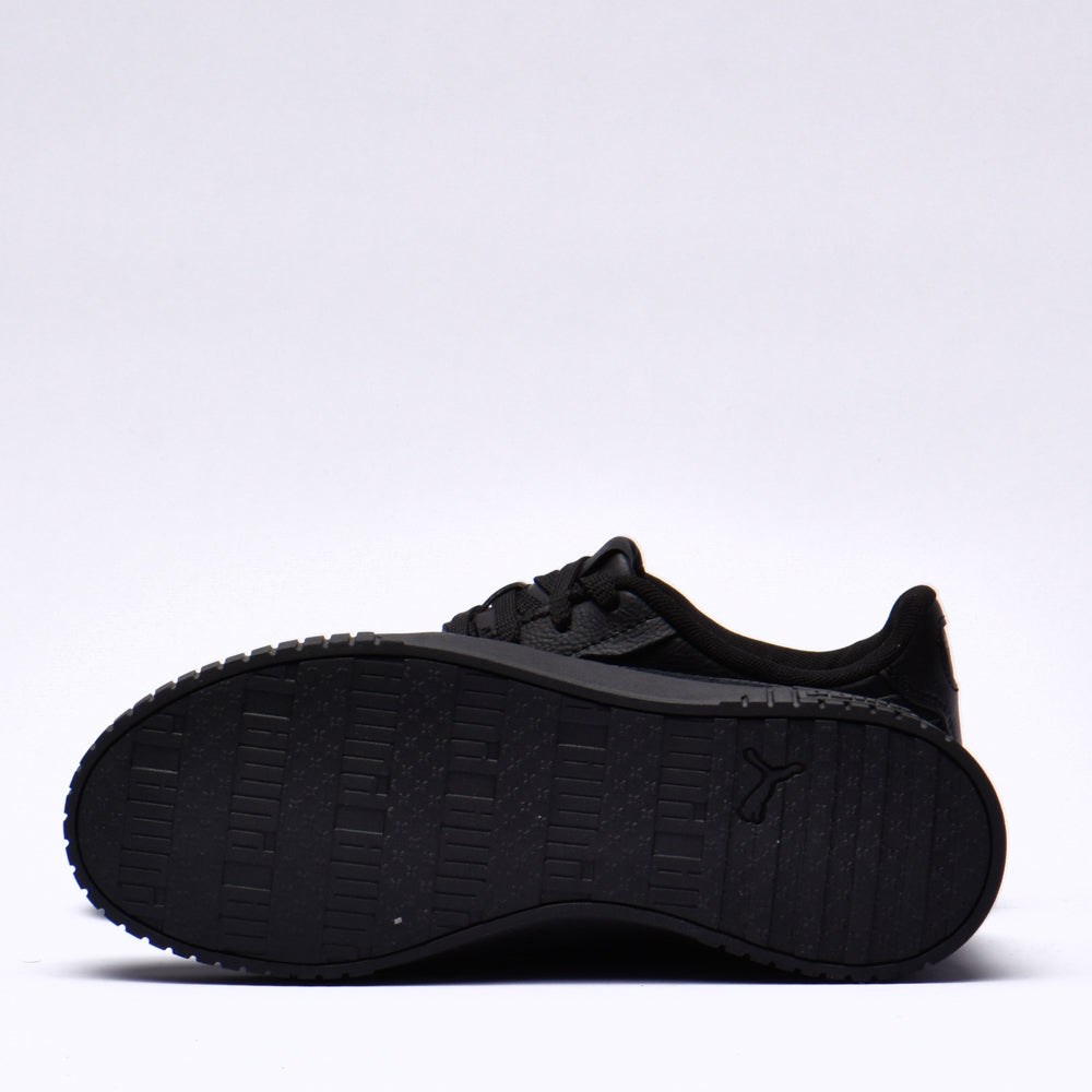 Puma carina 2.0
