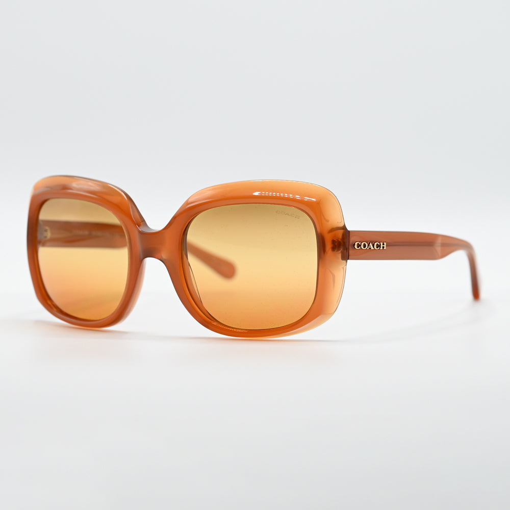Coach HC8194 Square Sunglasses