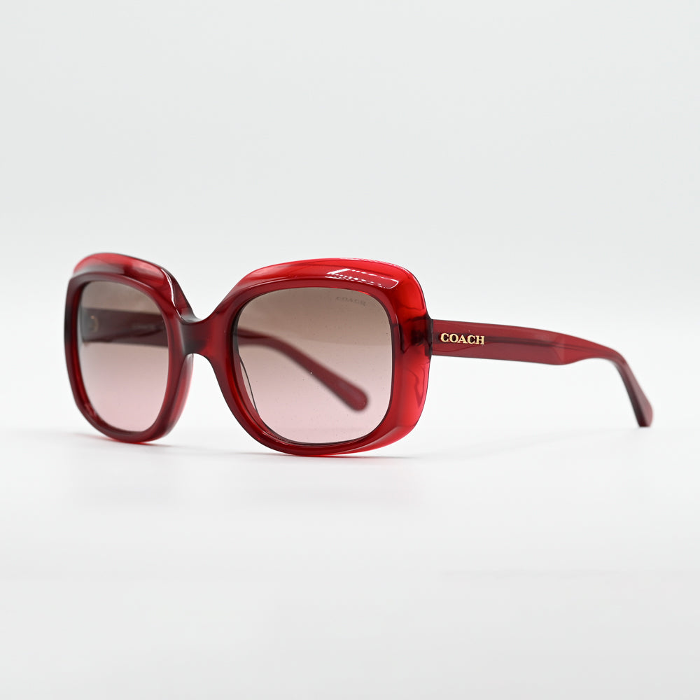 Coach HC8194 Square Sunglasses