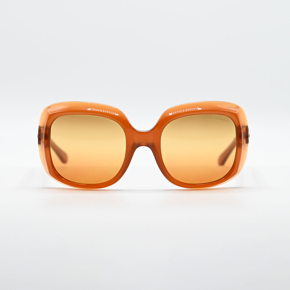 Coach HC8194 Square Sunglasses