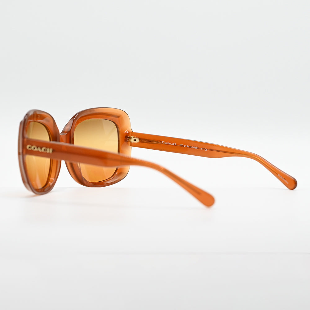 Coach HC8194 Square Sunglasses