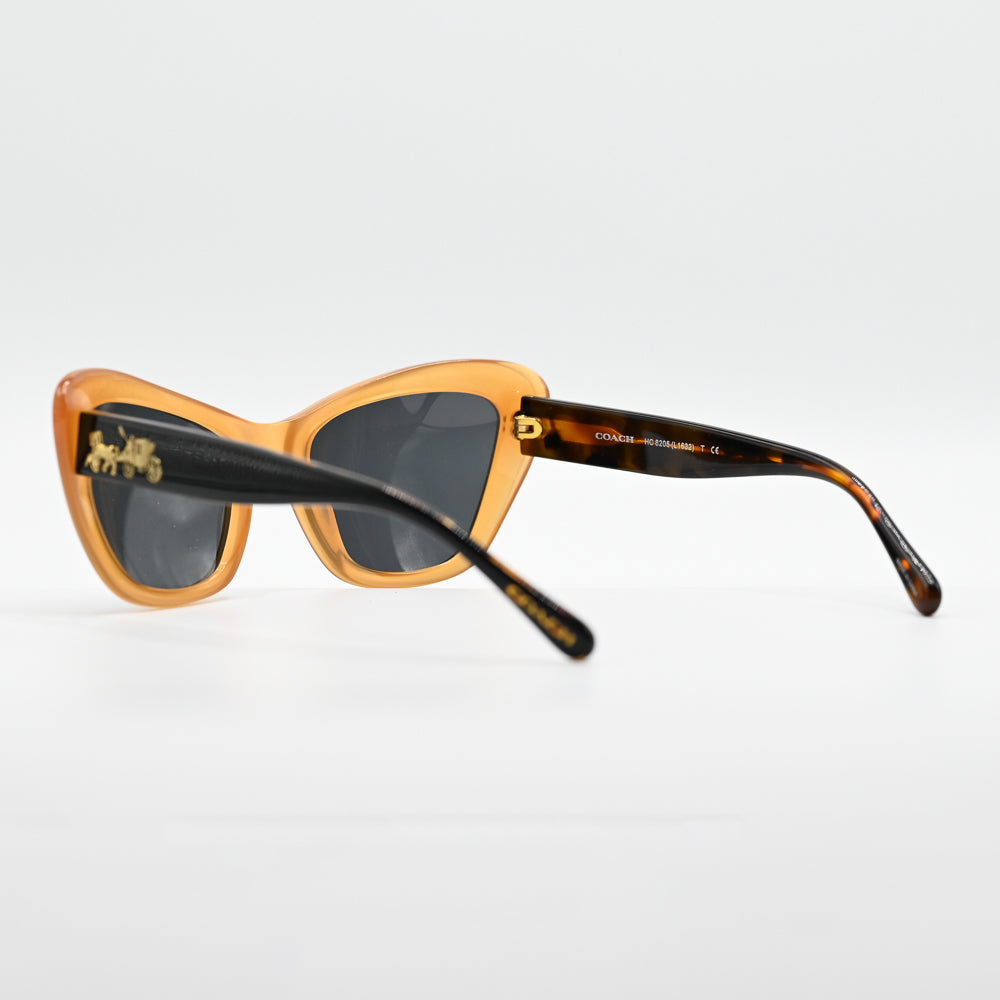 Coach HC8205 Square Sunglasses